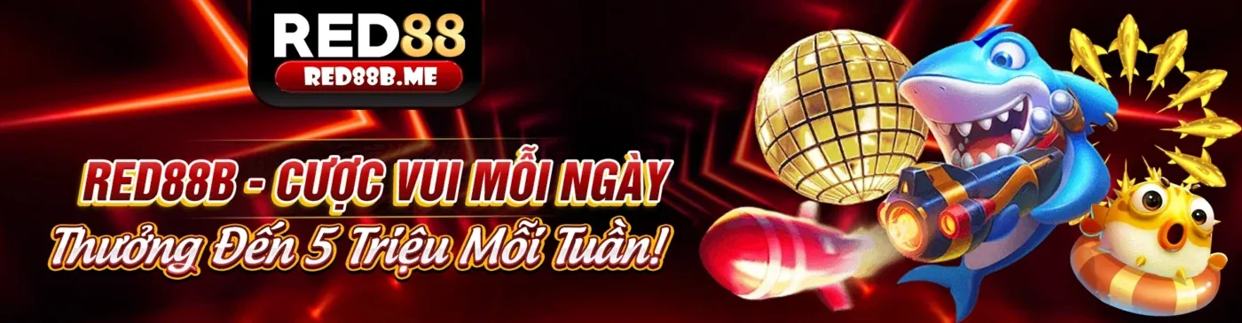 Hình ảnh chính của Blog XIN88 Login 2026